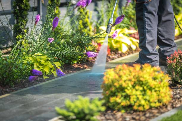 Best Boat and Dock Cleaning  in Luverne, MN