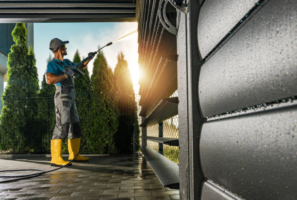 Best Solar Panel Cleaning  in Luverne, MN
